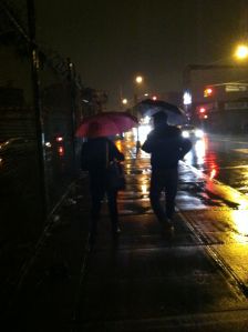 Montrose  Rain 12-12 b