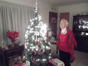 Pre C-Mas 2012 031 this one