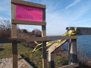 Pre C-Mas 2012 022 this one