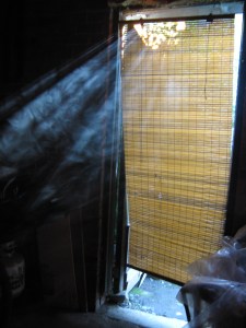 June 12 030 This one 2