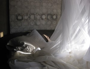 Curtains in the wind