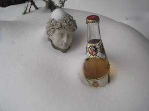 Christmas 2012 059 this one