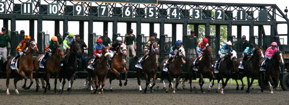 At the gate IMG_1959 (2)