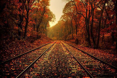 fall-train-tracks-1